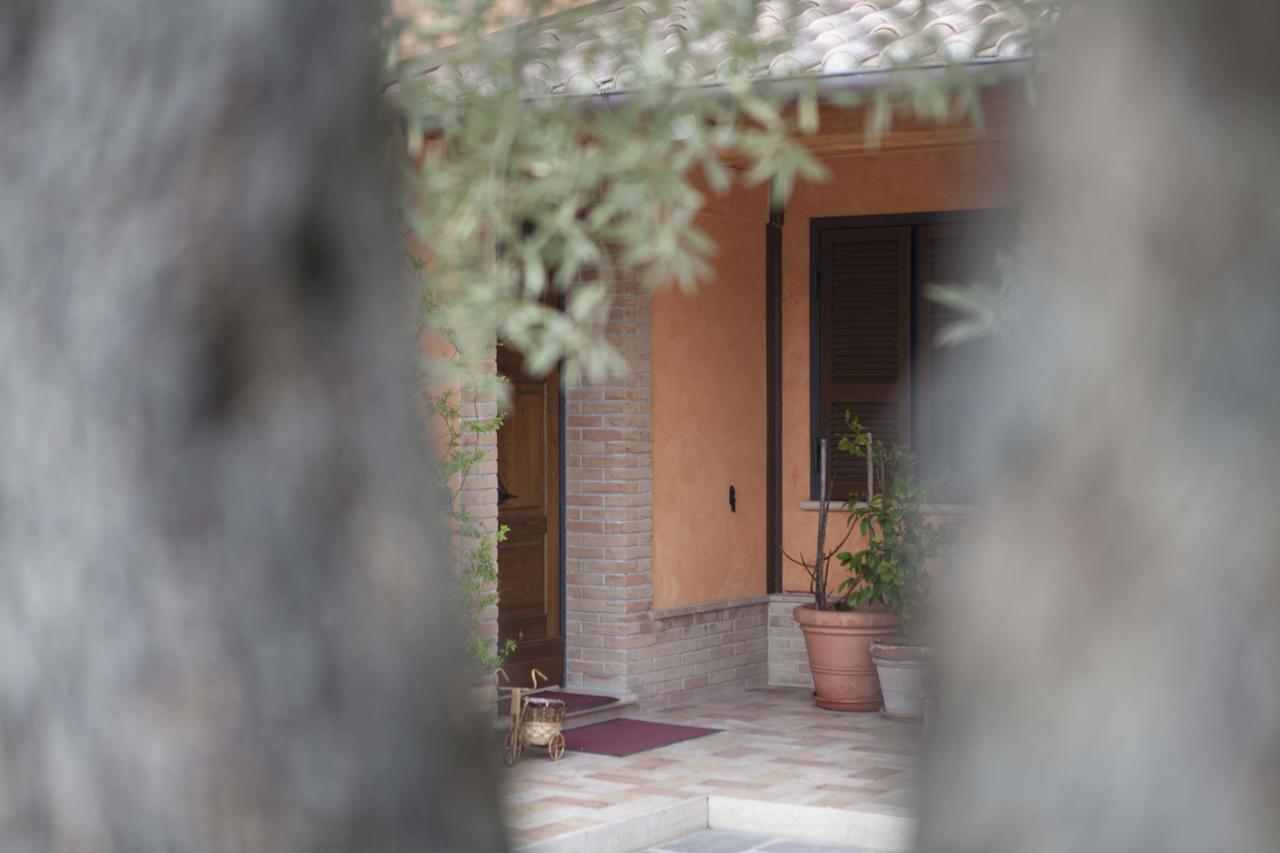 B&B La Gioiosa Assisi Exterior photo